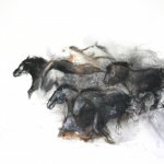« ANIMA »
